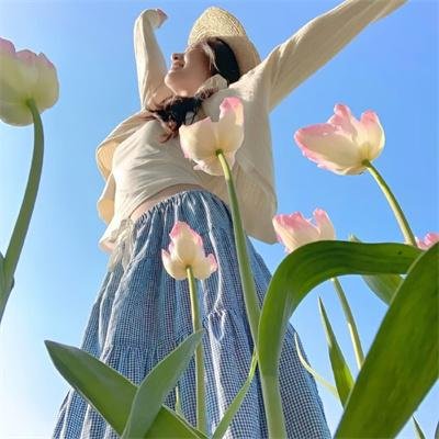 蒙特利尔海报